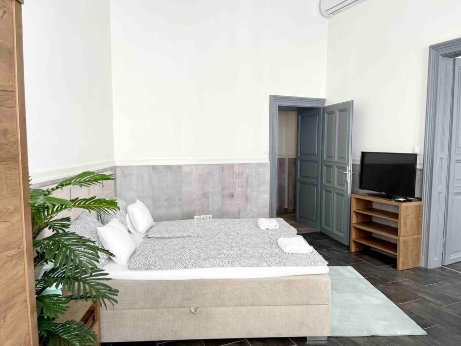 בודפשט D3 Basilica Luxury Spacious Free Parking For 1 Car מראה חיצוני תמונה